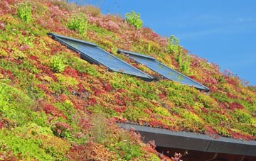 Cullompton living roof systems