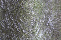 Cullompton fibreglass roof work